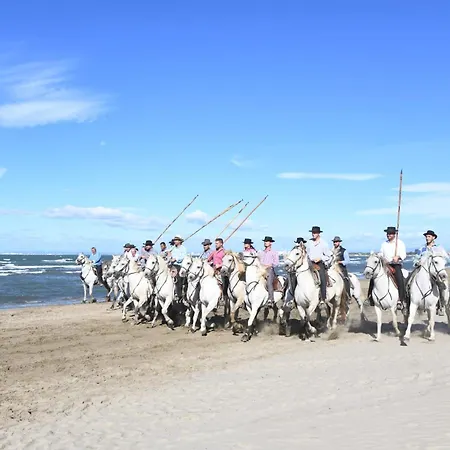 Faraman Au Bord De L'eau * Le Grau-du-Roi