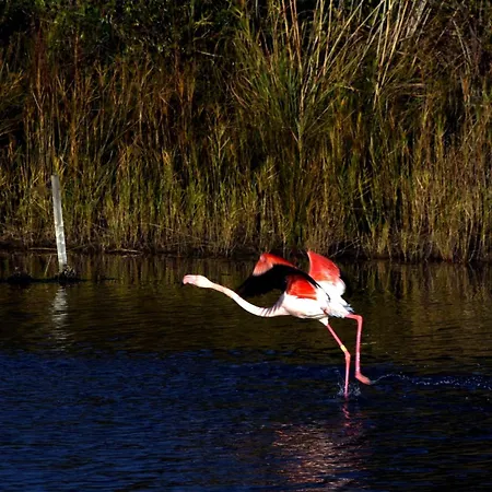 Faraman Au Bord De L'eau Сasa de vacaciones